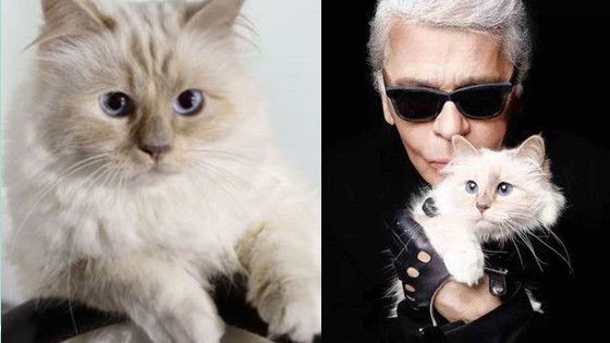 老佛爷卡尔生平,老佛爷卡尔为什么叫老佛爷