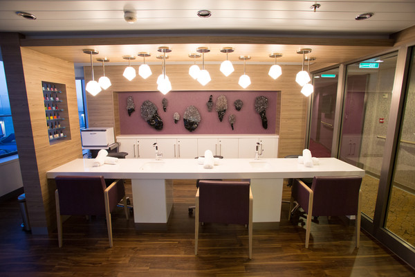 皇家加勒比邮轮2024年中国计划,今年的出游计划还没定