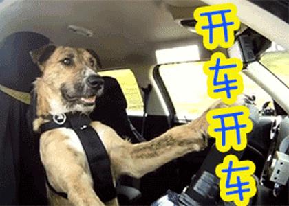 天津北辰新增电子眼位置,天津市东丽区新增电子警察