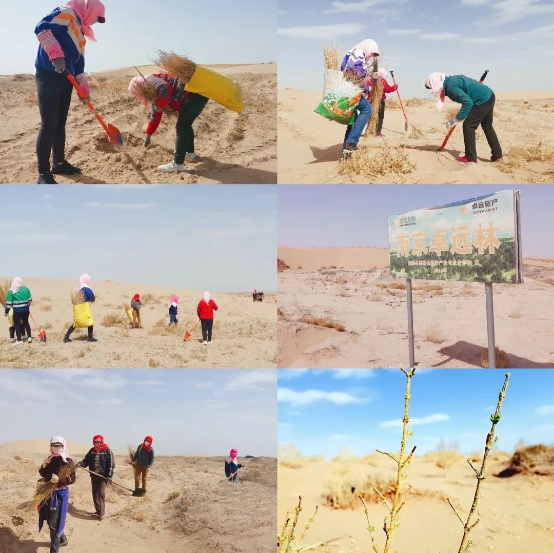 来自腾格里沙漠西端最朴实的见证——南京卓远2020公益活动