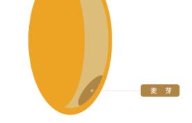 日式强力粉与日式法式粉区别,日本粉和法国粉的区别