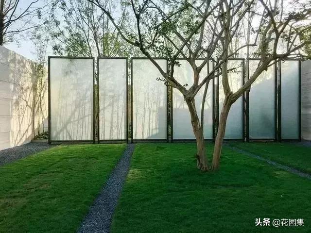 小小庭院看风景,诗意小庭院