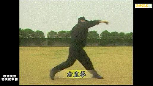 中国特警格斗详细教学视频,特警拳教学视频