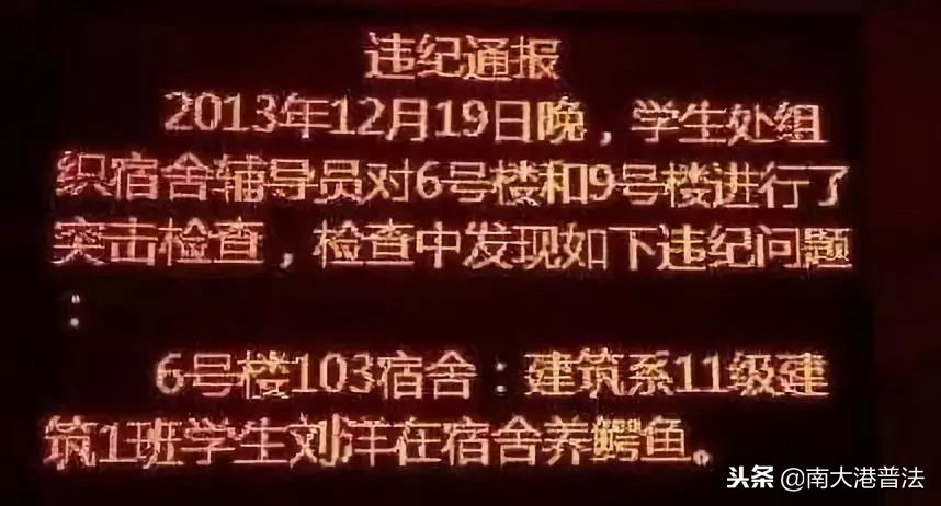 大学宿舍养狗什么处分最严重,大学生在宿舍养猪被通报批评