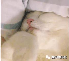 国际象棋抖音直播,国际象棋的玩法直播