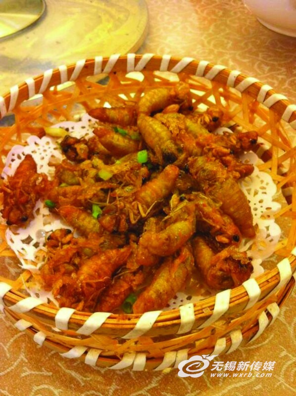 想领略蝉噪林愈静意境吗，宜兴有人捕蝉用麻袋装着去卖钱