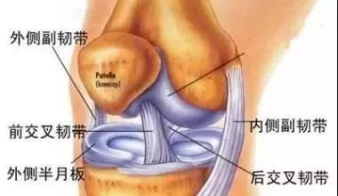 膝关节扭伤科普视频,膝关节损伤预防科普视频