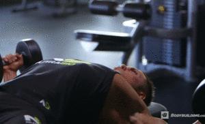 古天乐雌化,古天乐快速发达的方法