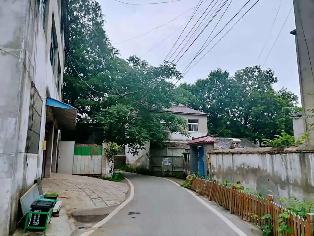 一房难求的紫东核心区，离真正腾飞还有多久？