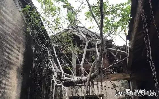 汕头澄海樟林美食,潮州樟林好吃的