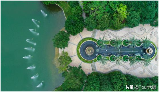 爱了！恒大“最美社区”遇见最美的春天