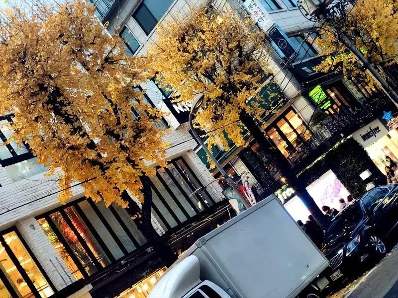 深圳这次入冬成功了吗,深圳终于进入了深秋的天气