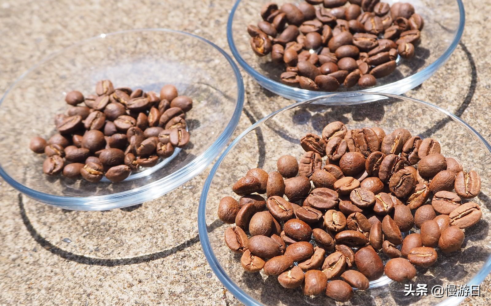 深度游玩东京,东京必去咖啡店