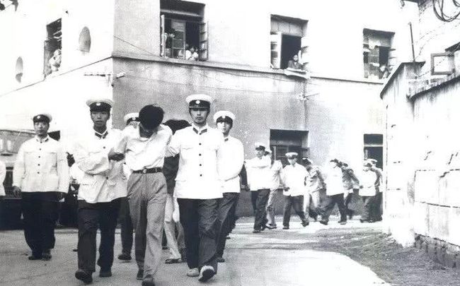 妻女被杀兔子牵出了真相,妻女被杀兔子成破案关键