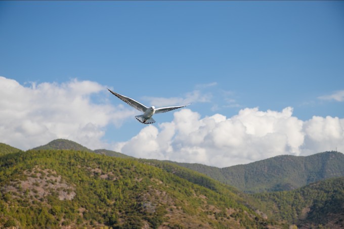消失的地平线上的“香巴拉”和“女儿国”（二）