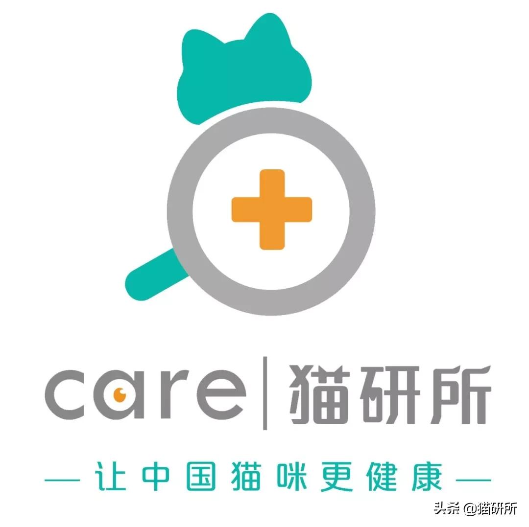 给猫咪装的摄像头是什么样子的,猫咪摄像头有哪些