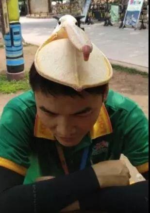 万物皆可吞的鹈鹕,鹈鹕万物皆可吞