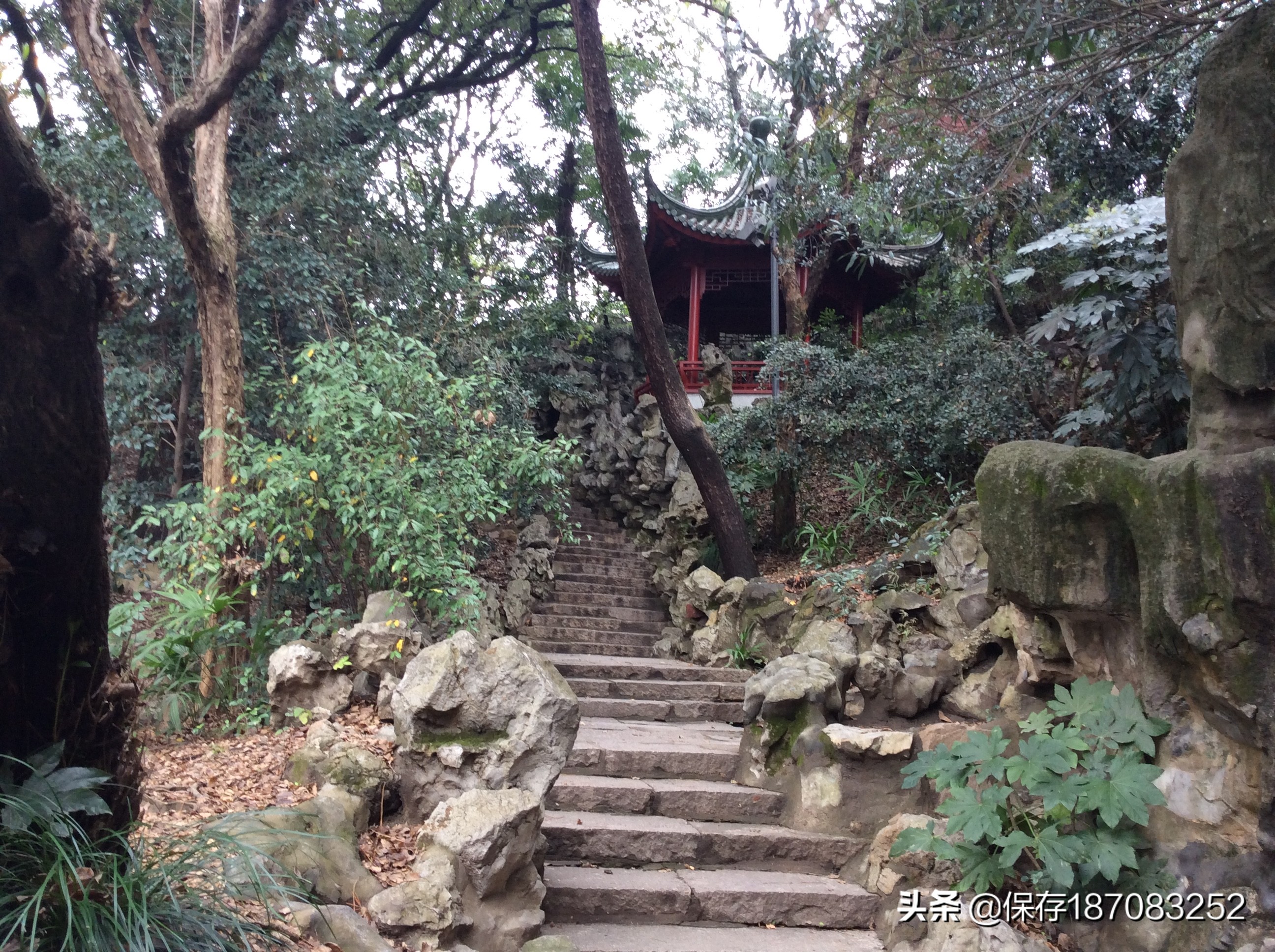上海普陀山公园,普陀区长风公园在哪