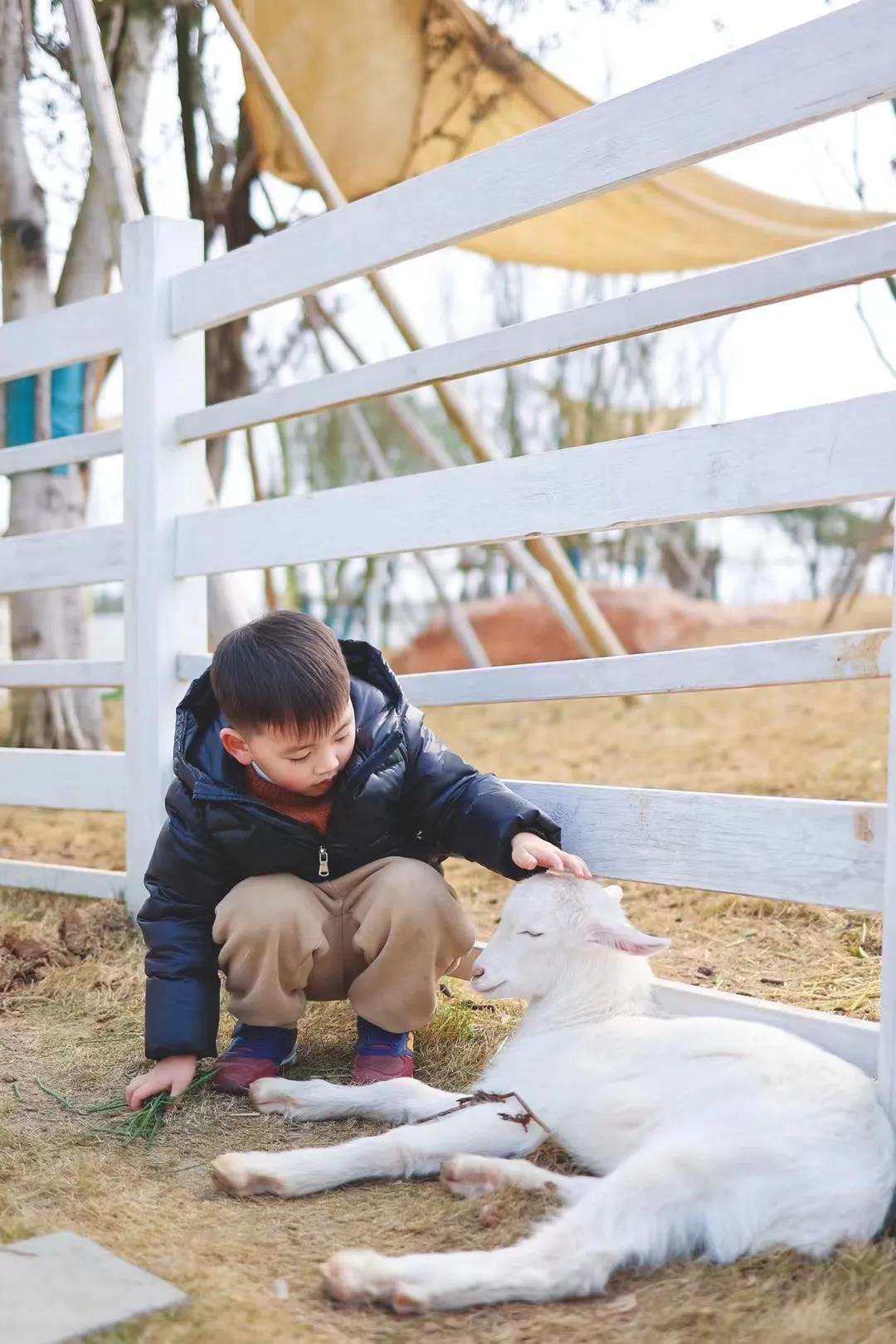 成都景点一日游12月,成都一日游景点推荐五一