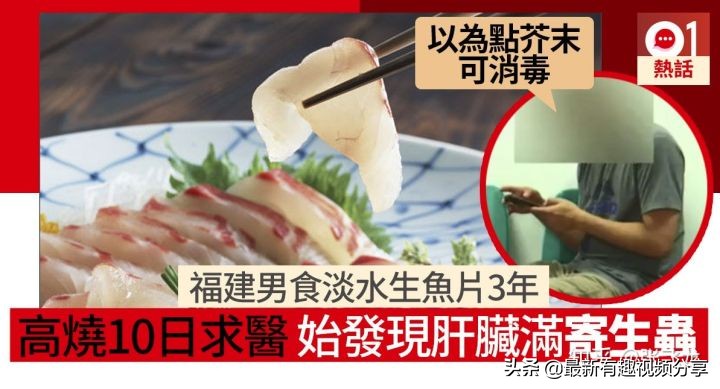 挪威三文鱼养殖环境恶劣纪录片,挪威三文鱼养殖环境恶劣新闻