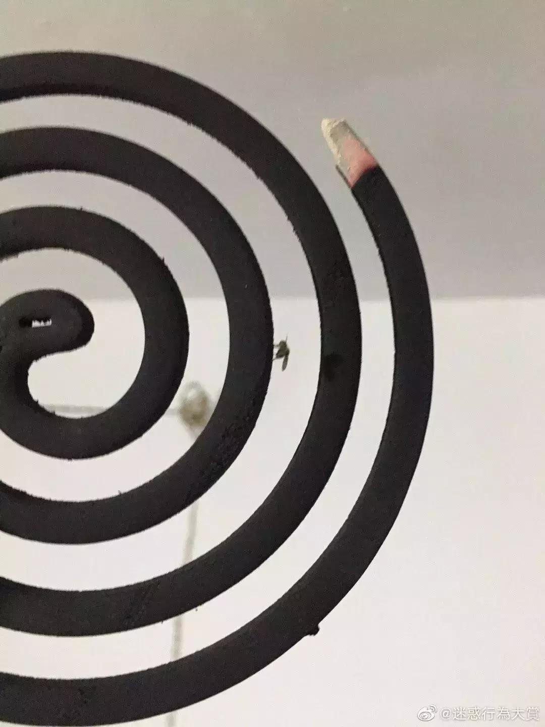 别用蚊香教你一个新方法,夏天怎样用蚊香驱蚊最有效