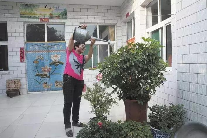 复兴区美丽乡村,复兴区户村镇美丽乡村