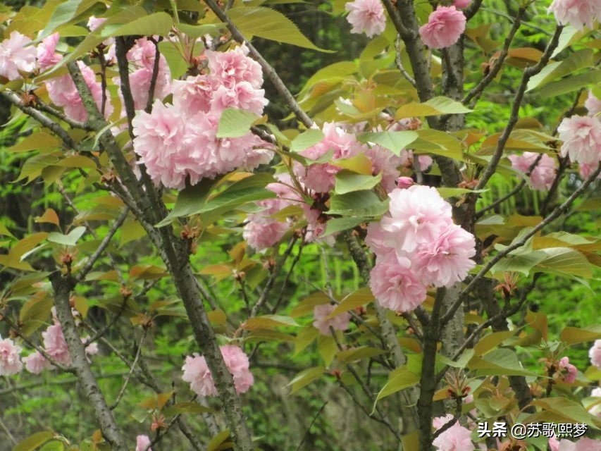 我和横店有个缘