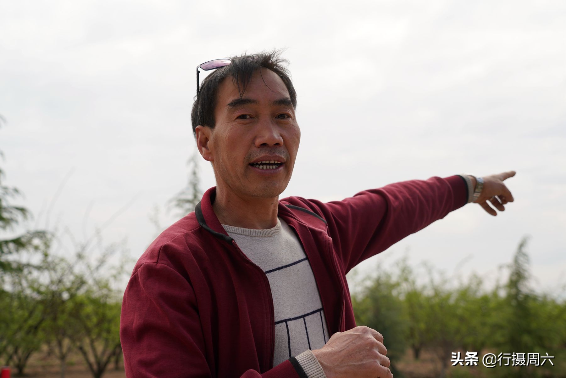 农村创业种植的真实经历,农村山里种植什么赚钱快