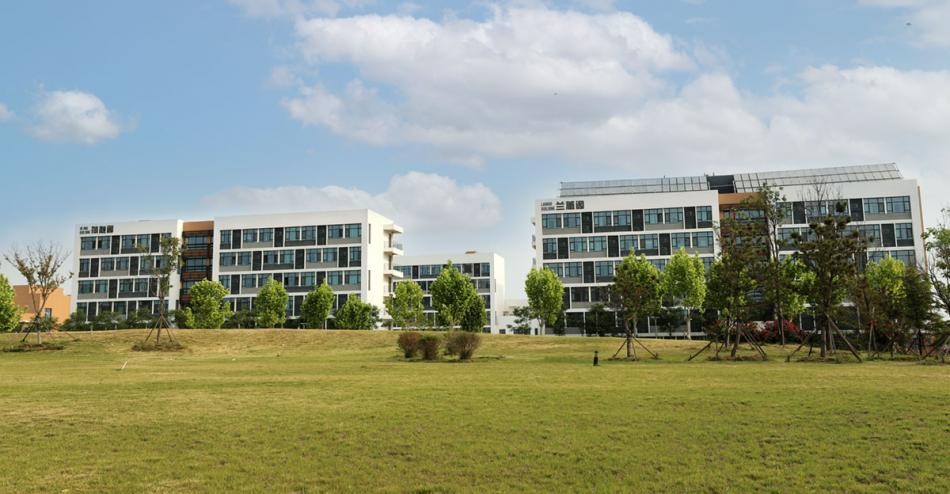 青岛幼儿师范高等专科学校新项目,青岛幼儿师范高等专科学校幼儿园