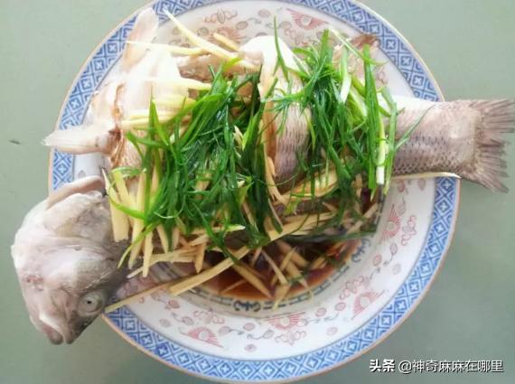 什么鱼dha含量高适合小孩子吃,给孩子吃dha含量高的鱼有哪些