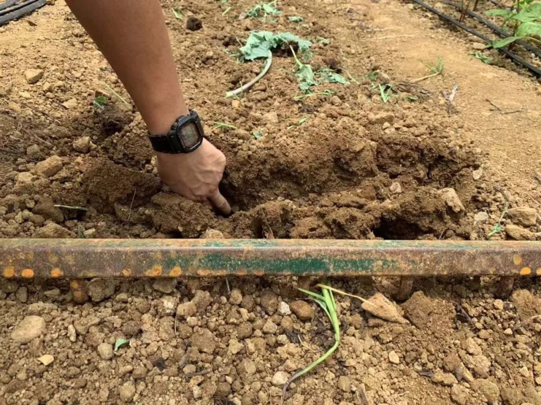 吃完就变富有的一顿饭：来自台湾非典型性富二代农夫Fudy