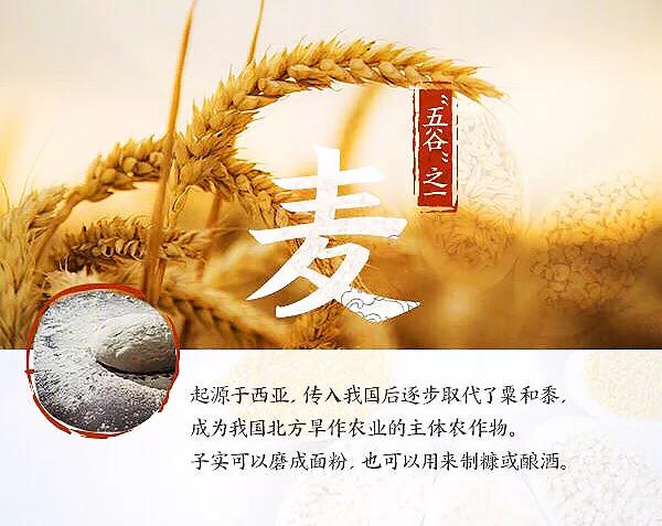 涨知识涨见识诗词,涨知识古代文明