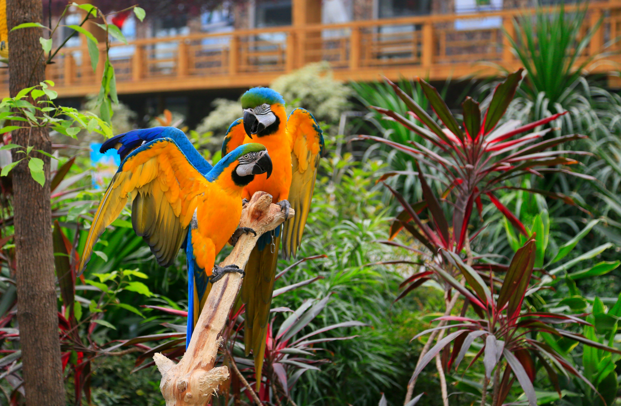 北京最大的温泉,北京最大的温泉是哪里