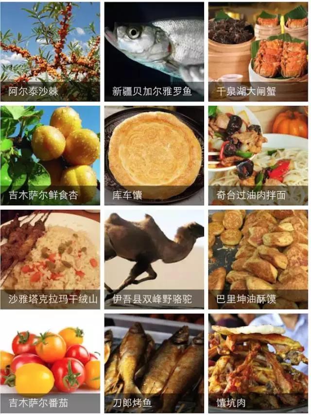 谁整理的新疆特产太全了,新疆特产满疆骆驼奶贝