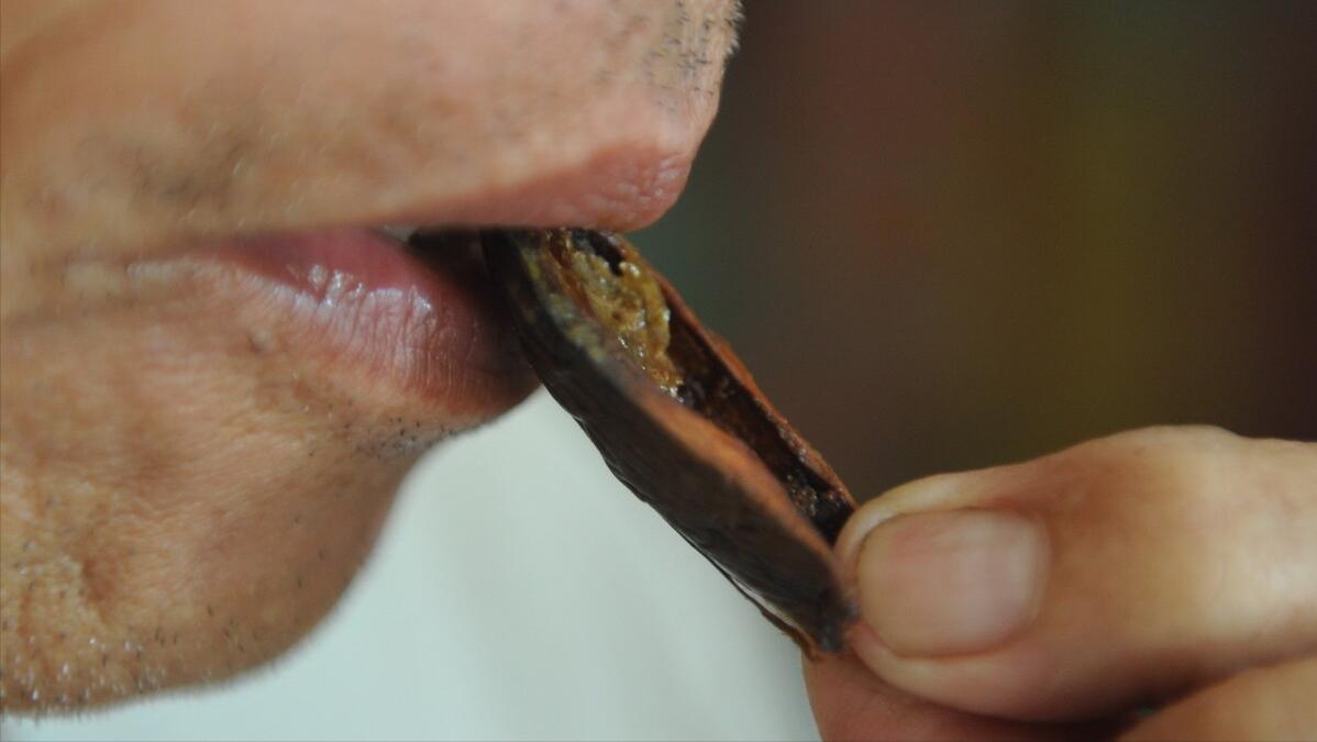 枸杞槟榔吃了头晕怎么回事,吃槟榔提神醒脑吗