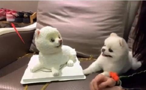 欧阳娜娜穿的潮鞋,欧阳娜娜穿潮鞋