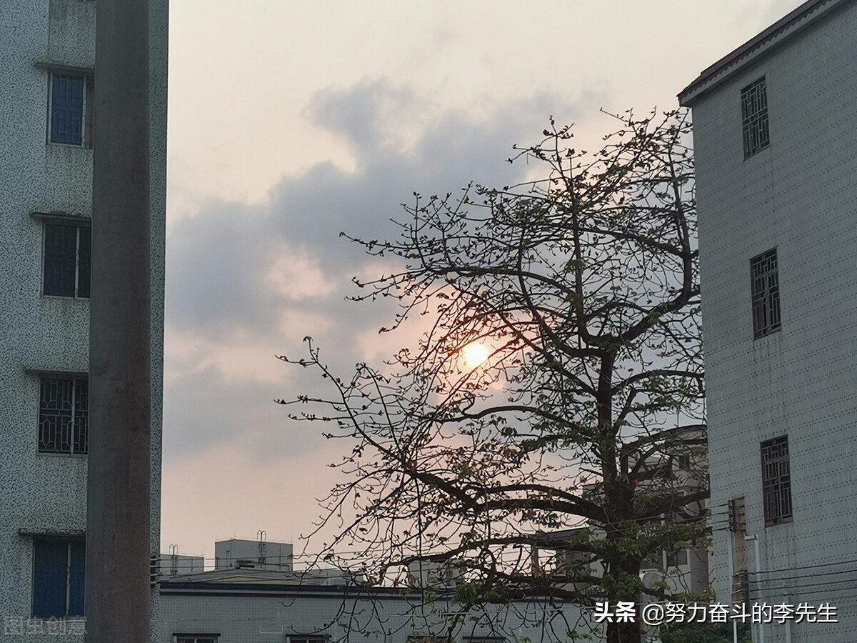 春花秋月梦回青春,花开花落梦回青春