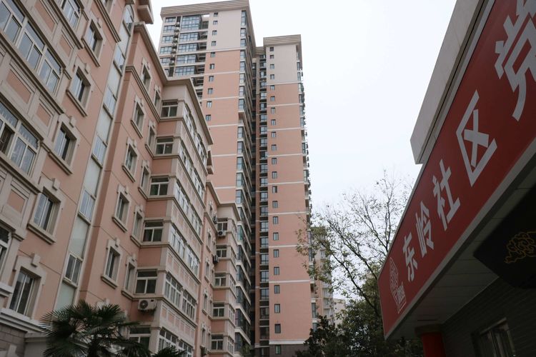 走进宝鸡东岭村！看昔日贫困村到“中国西部第一村”的成功逆袭