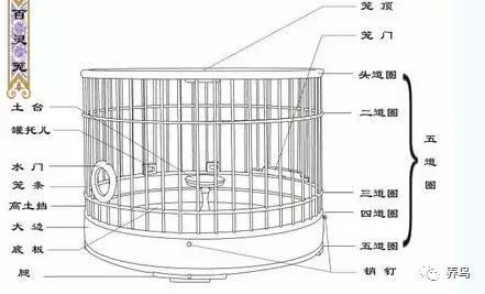 聊一聊北京胡同,北京的鸟笼也叫北笼吗