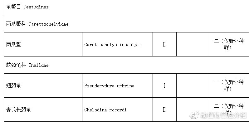 匠志萌宠乐园教学,匠志萌宠
