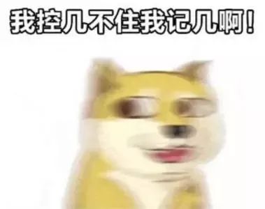 韶关有哪些体育场免费开放,韶关体育中心项目