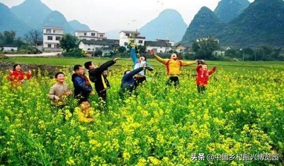 乡村振兴产业方面存在的问题,乡村数字化建设赋能产业振兴