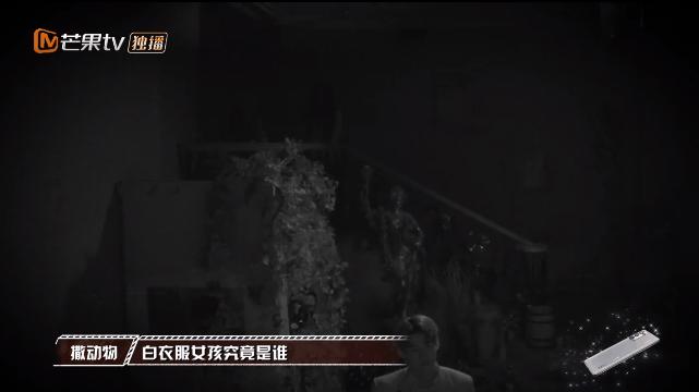 每次开播都被唱衰的国综,这次不仅没崩,甚至“封神”