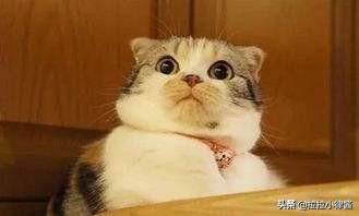 山东航空怎样买到便宜机票,怎么买到去泰国便宜的机票