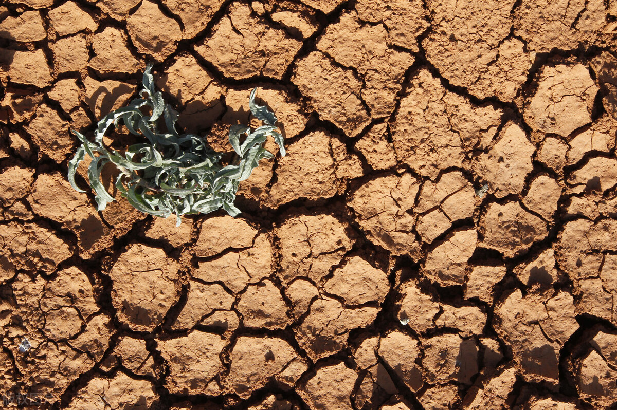 版图形似辣椒，地震频率远超日本，智利有着怎样的悲喜忧愁？