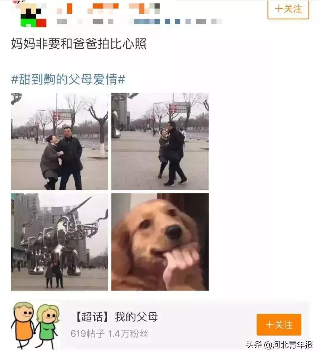 单双号限行范围扩大!国家最新规划!河北6市被委以重任!14岁女儿洗澡传来异响,父亲踹门救人!双双身亡!