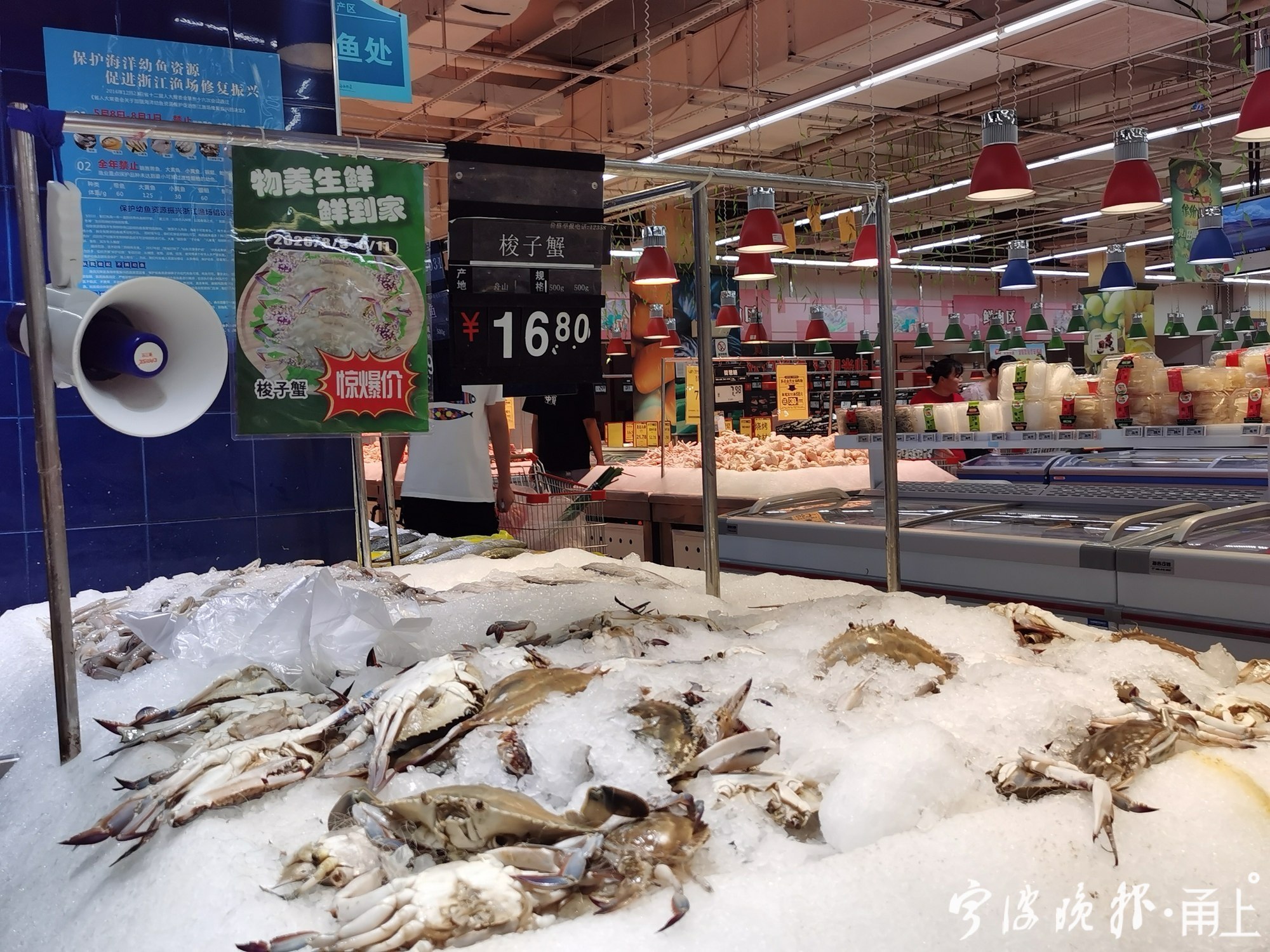 宁波人爱吃什么橘子,宁波人爱吃的毛蛤