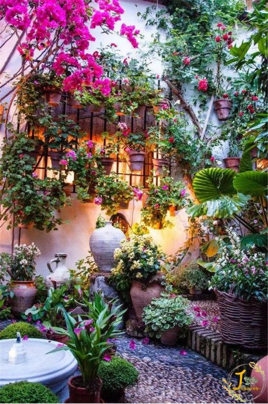 丽江600元民宿花园,丽江6人民宿推荐