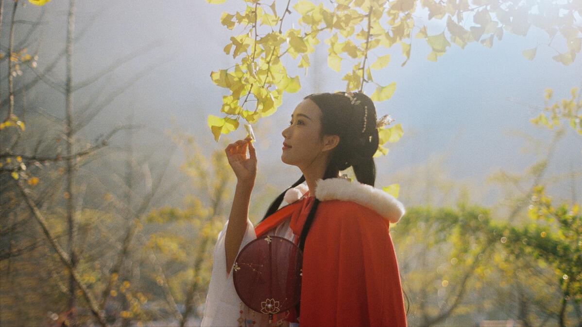 汉王朝奠定了坚实的基础,为大秦奠定万世之基