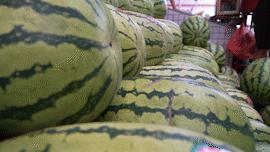 广州市水果市场热闹吗,广州市场有什么水果